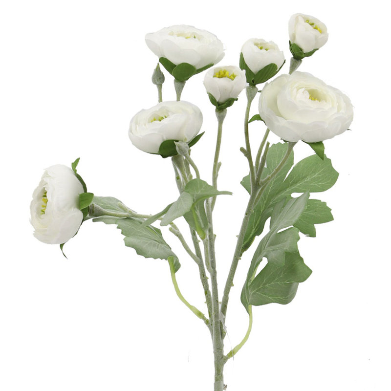Renoncule fleur artificielle, Blanc