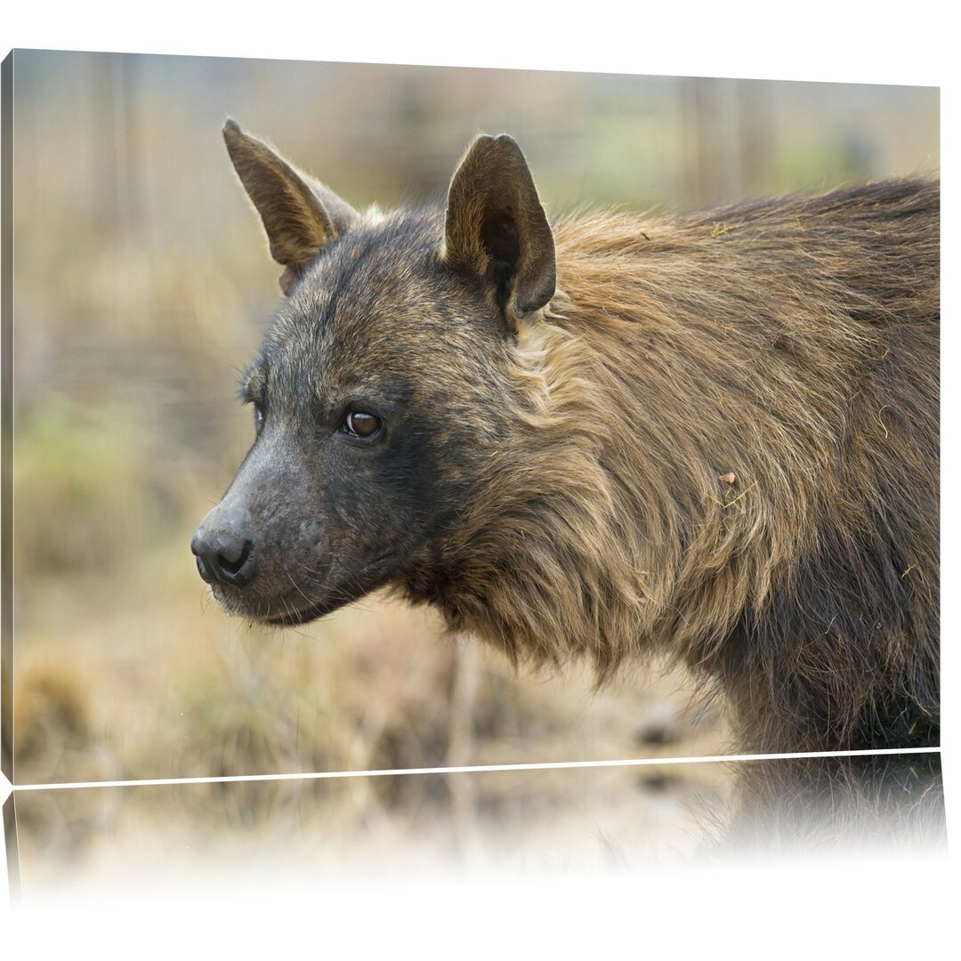 Leinwandbild Anmutige Hyäne im Wildgras