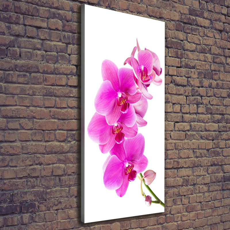 Pink Orchid - Wrapped Canvas Print