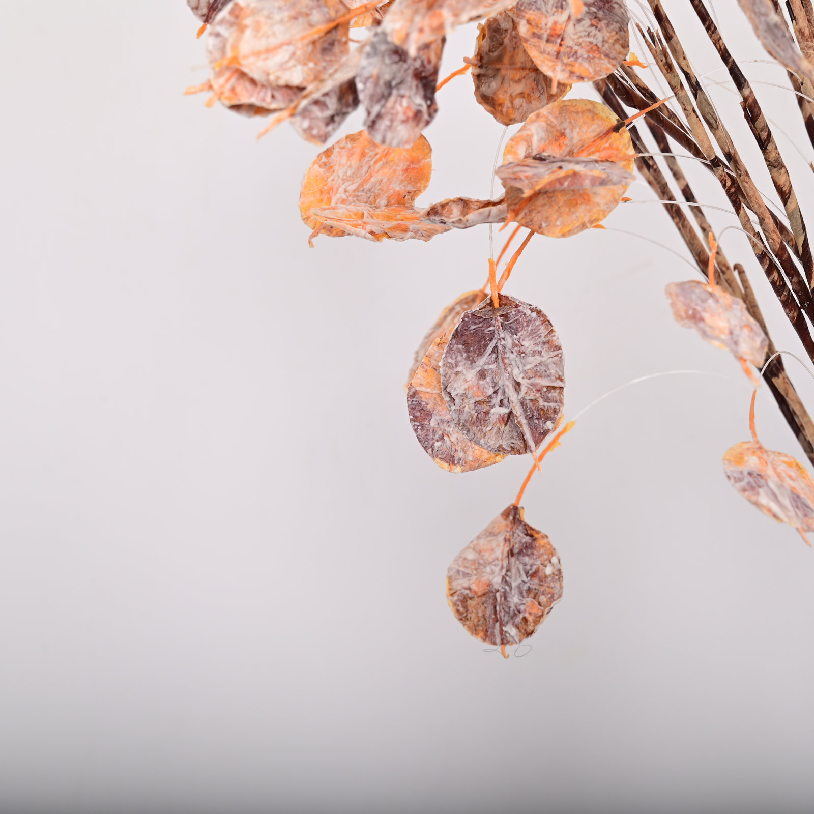 Fall Foliage Stems, Orange