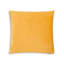 Noah Velvet Square Pillow Cover & Insert-257995872