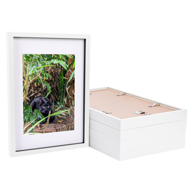 12" x 17" Plastic Box Frame, White