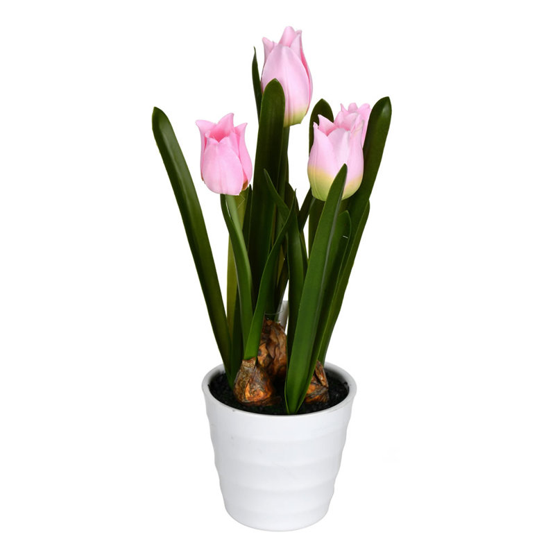 Arrangement floral de tulipes en pot
