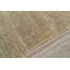 Oriental Area Rug in Beige