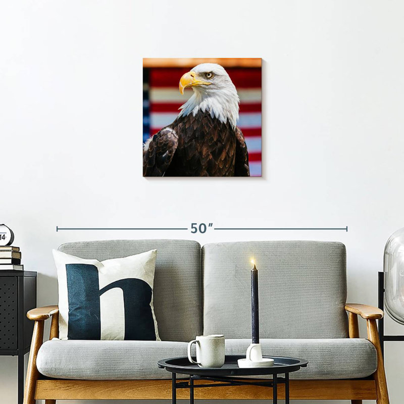 Brampt Mighty US Bald Eagle, 20" H x 20" W
