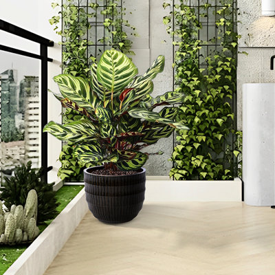 De 4 pots à fleurs cannelés en céramique avec finition café foncé, chaleur -, idéal pour divers environnements, pots de fleurs 4, à l'intérieur et à l'extérieur, pour le développement des plantes