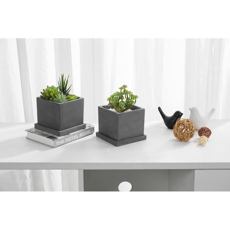 Pot Planter
