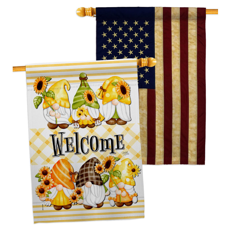 Drapeaux 40 x 28 pi