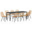 Emiya 8 - Person Patio Dining Set Rectangular Table-1867607500