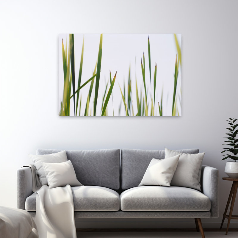 Gros plan sur une herbe à quenouilles, Typha Latifolia, paysage contemporain abstrait, art naturel, H 32 po x l 48 po