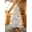 Snowy Elmwood Pine 7ft Tree