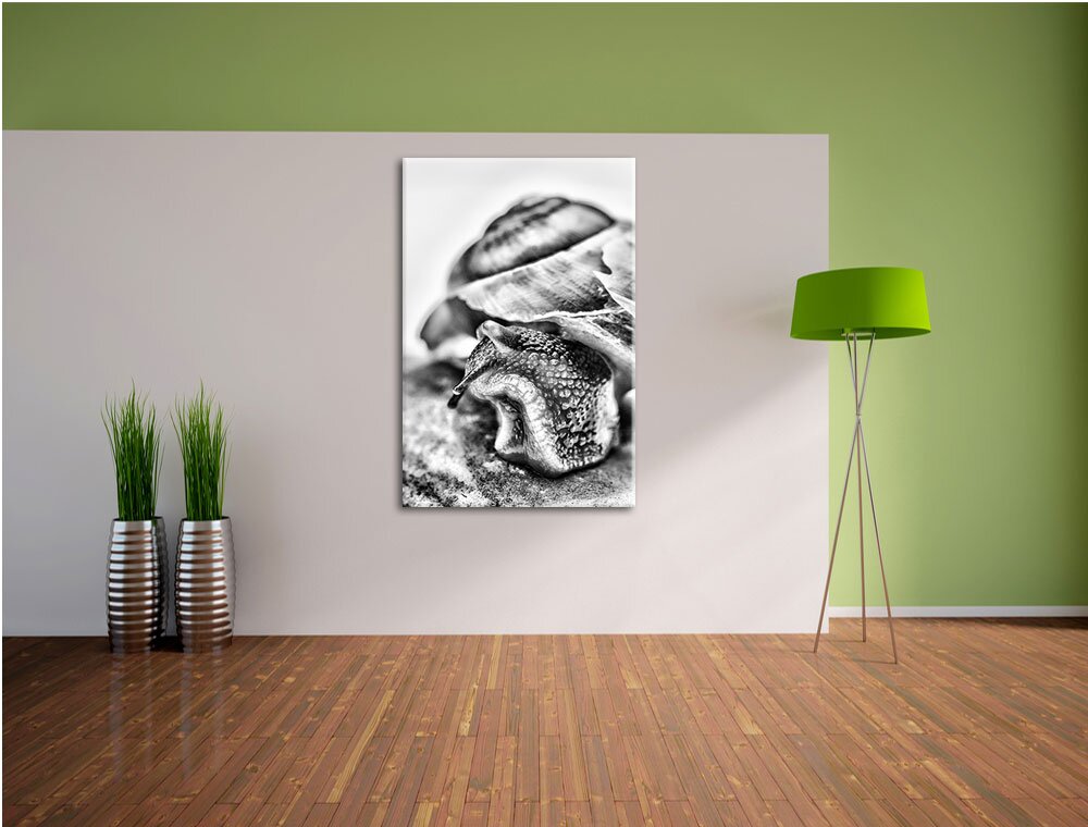 Leinwandbild Schnecke mit Haus in Monochrom