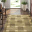 Interlocking Geometric Area Rug in Beige/Green