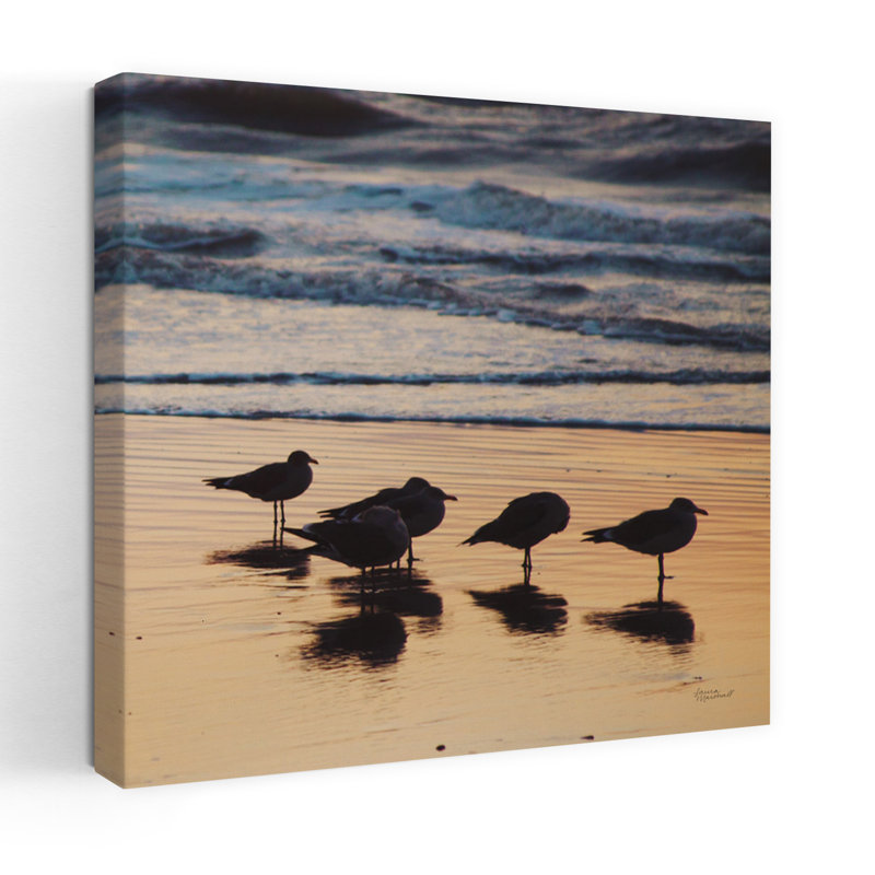 Art de Kalaloch Birds II Seagull, H 18 po x l 18 po