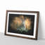 Hare in a Meadow - Picture Frame Graphic Art Print-56863311-56863312