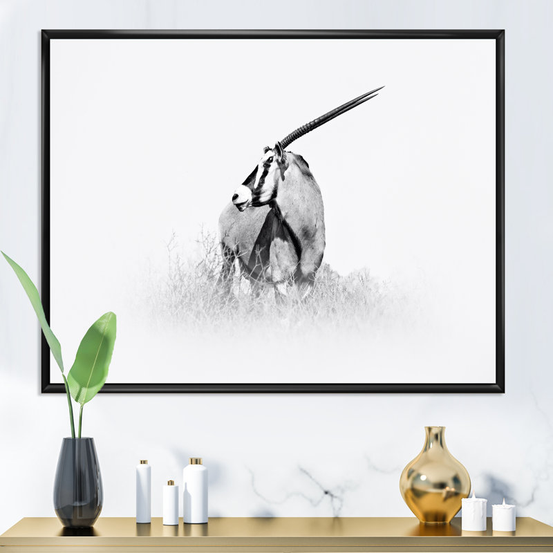 Gemsbok africain en noir et blanc - reproduction de dessin sur toile, H 24 po x l 32 po x P 1 po, Cadre flottant noir