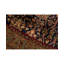 Wool Oriental Area Rug