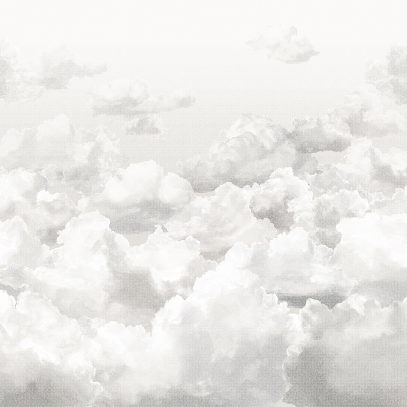 Crafted Clouds 4-Panel Wall Mural 8.8' L x 110.2" W, Stone Gray