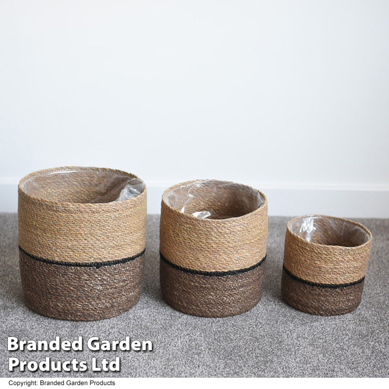 Roxanne Pot Planter