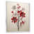White Floater Framed