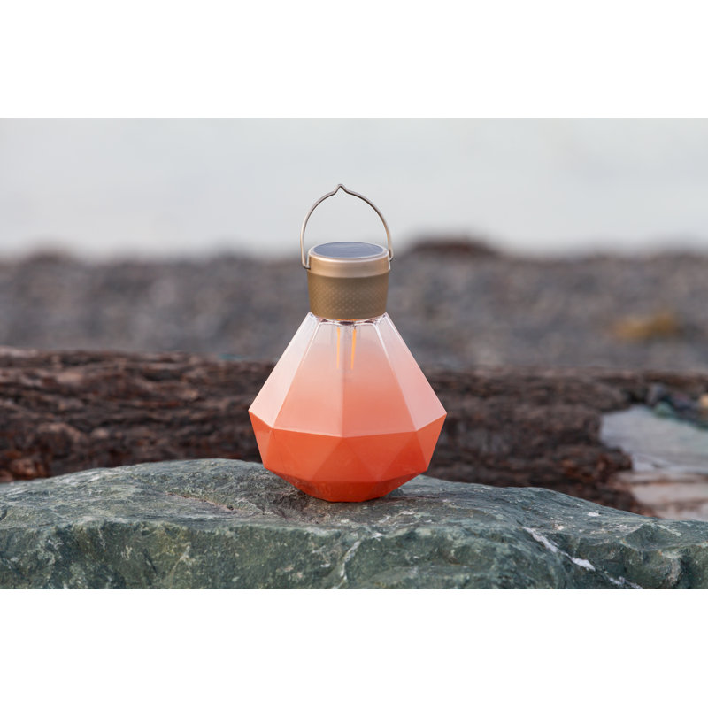 Bahama Coral Solar Powered Outdoor Hanging Light with Edison Bulb