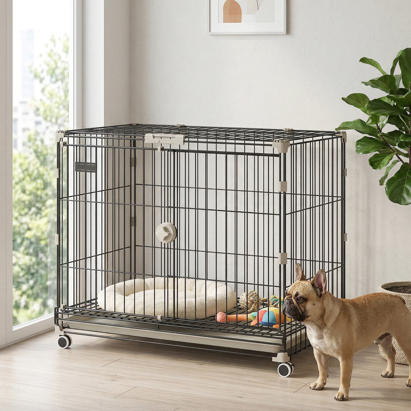 Cage pliable pour chien sur roulettes, cage pour chien en métal 30 pouces, H 25,4 po x l 18,1 po x P 29,7 po