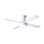 Ball LED Flush Mount Ceiling Fan