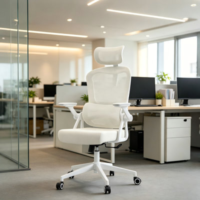 Chaise de bureau ergonomique à double dossier, avec support lombaire réglable et dossier inclinable — ensemble bureau et chaise pour bureau à domicile, chaise d'ordinateur à dossier haut, chaise de bureau en maille respirante