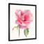 Fleur rose vif rétro - peinture sur toile-67382727-67382766