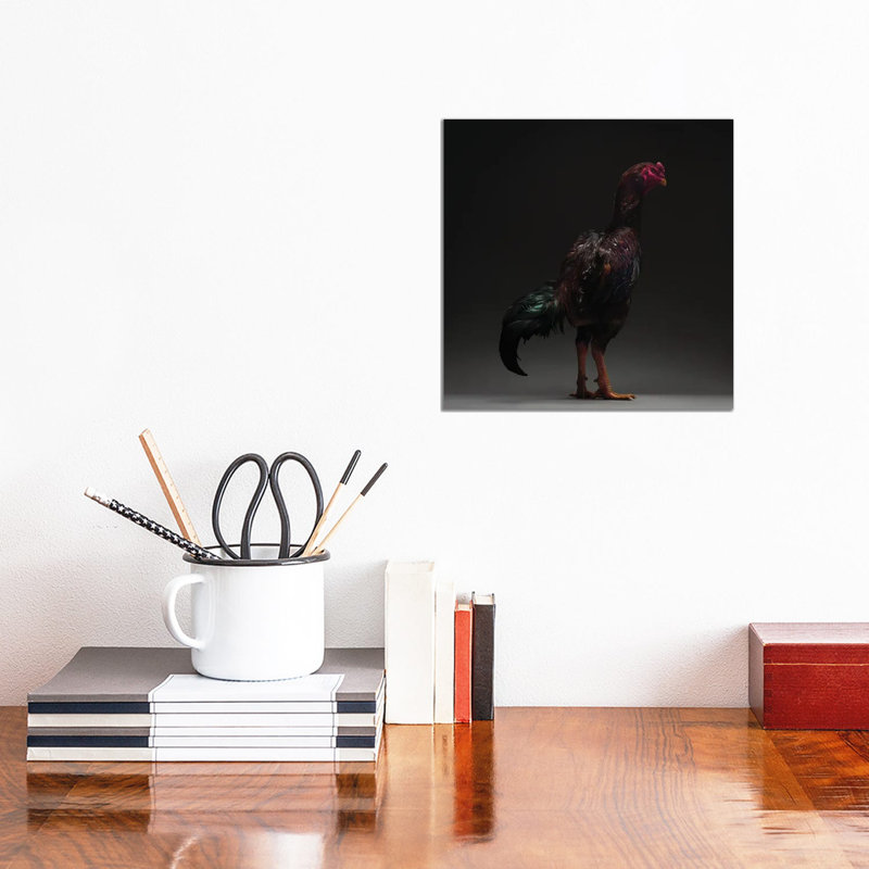 Ko Shamo - Wrapped Canvas Print, 30.48 cm H x 30.48 cm W