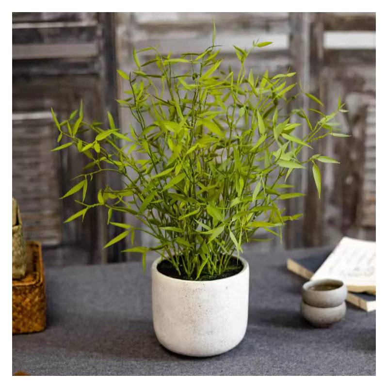 Plante de 16 po, H 16 po x l 9,8 po x P 9,8 po
