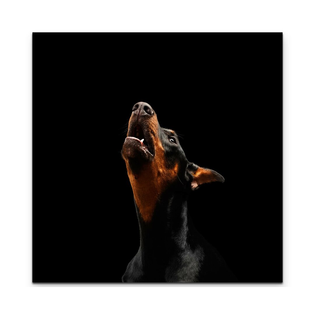 Leinwandbild Doberman Pinscher - Portrait