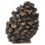 Lodge pinecone knob in finish Antique Brass-30213659