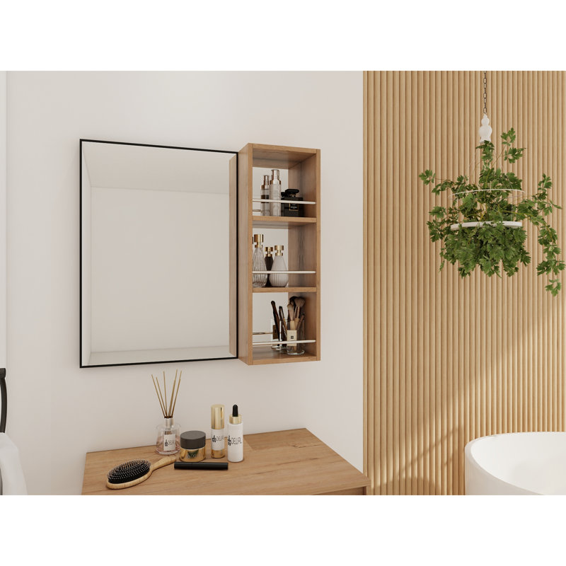 Wall Mounted Mirror Cabinet