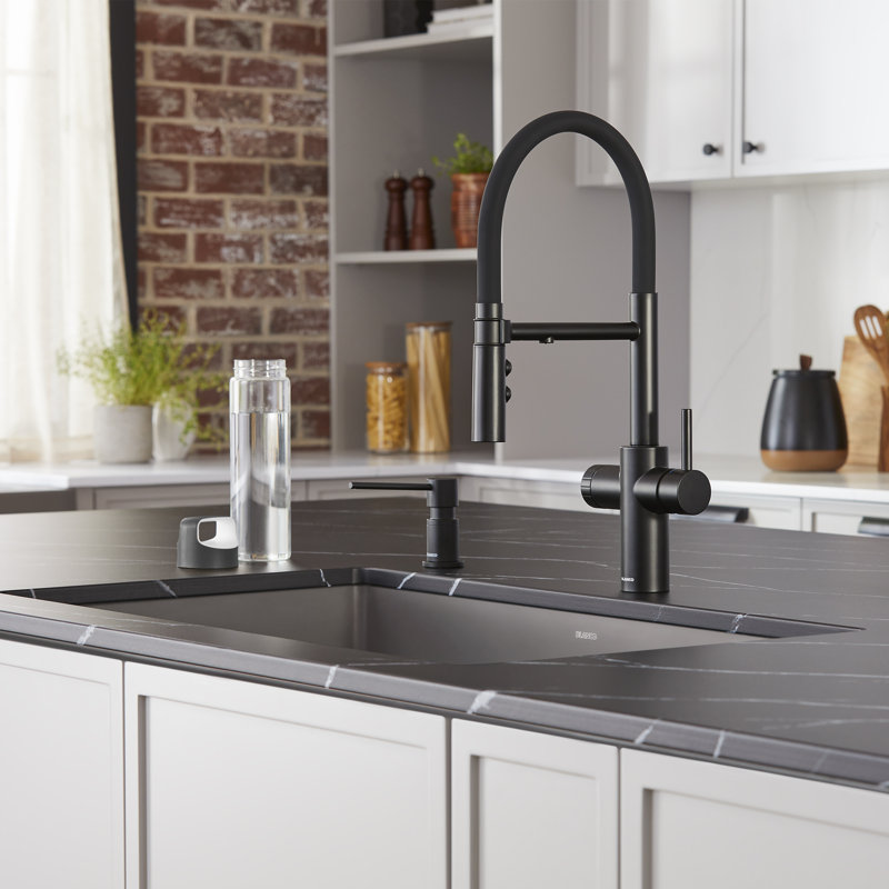 Catris Flexo Filter-Ready Semi-Pro Pull-Down Dual-Spray Kitchen Faucet - Matte Black, Matte Black