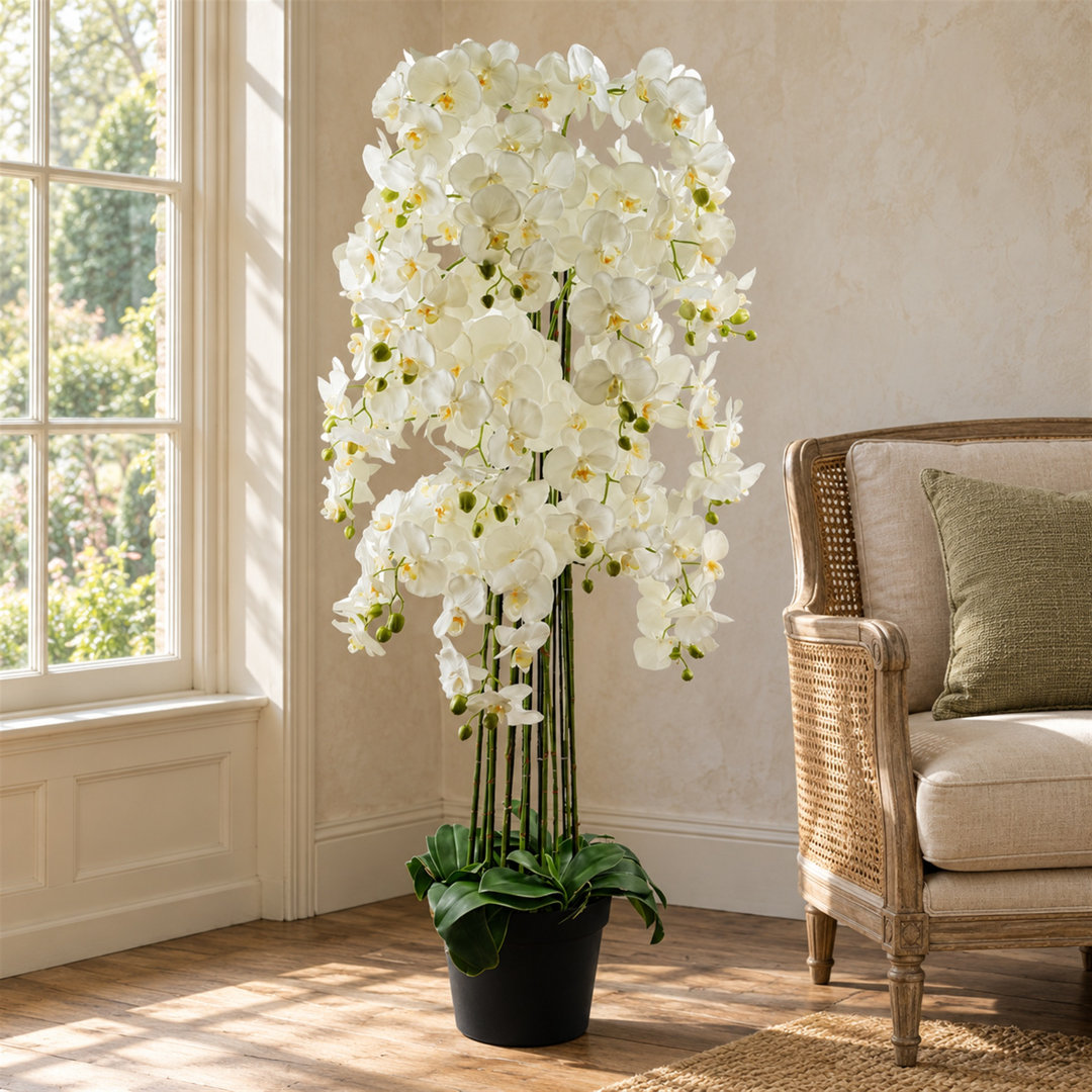 Blue Pirate White Giant Orchid Plant - Artificial - 189 Flowers Real Touch - Image 4