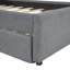 Lit plateforme tapissier simple avec lit gigogne Teddy