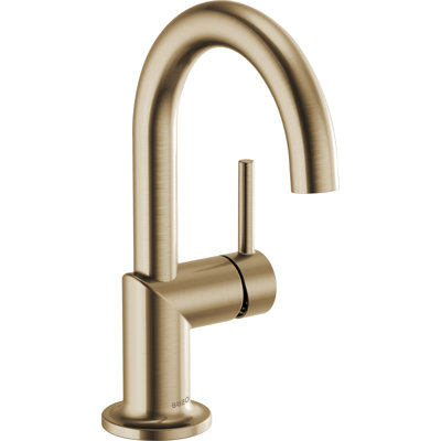 Odin® Single Hole Bathroom Faucet