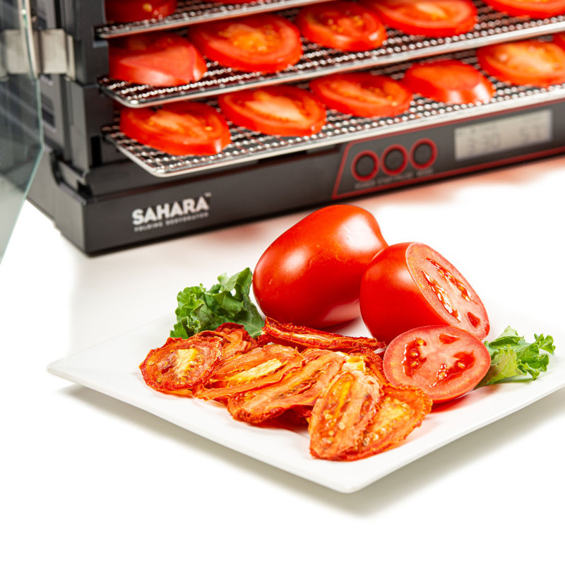 Symple Stuff Jytte 820W Food Dehydrator