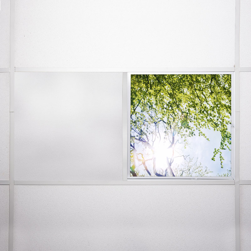 Tree Square Fixture Component Ceiling Light