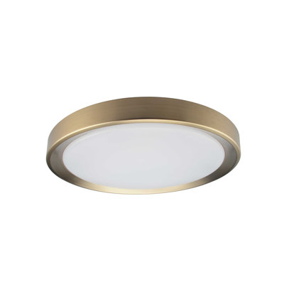 Single Light LED Flush Mount