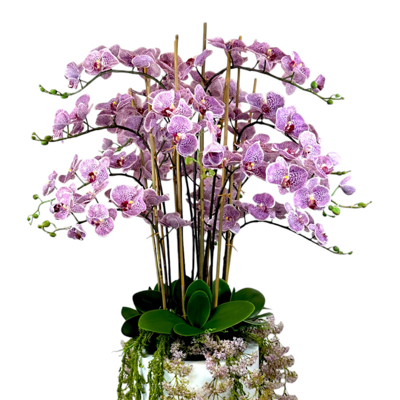 5.25' Orchid Arrangement with Weeping Laurel in Fiberstone Planter, Pink