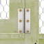 Harworth Chicken Run-927597683