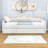 Twin XL Upholstered Daybed with LED Light and Twin Trundle-883162386