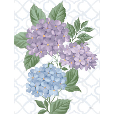 «The Beautiful Hydrangea» par Cat Thurman Designs
