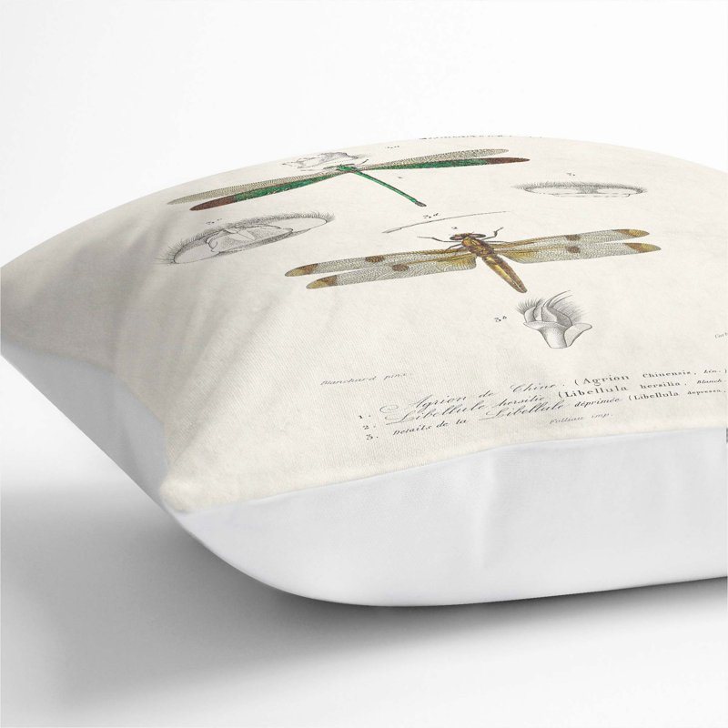 Dragonfly Illustrations PL. L Square Throw Cushion, White, 55cm H x 55cm W x 20cm D