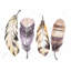 Purple Feather Set - Beige Animals Framed Canvas Home Decor