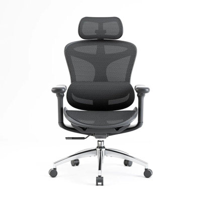 C300 Computer Chair, Ergonomic Chair with 4D Armrests , Dynamic Lumbar Support, for Home & Gaming
