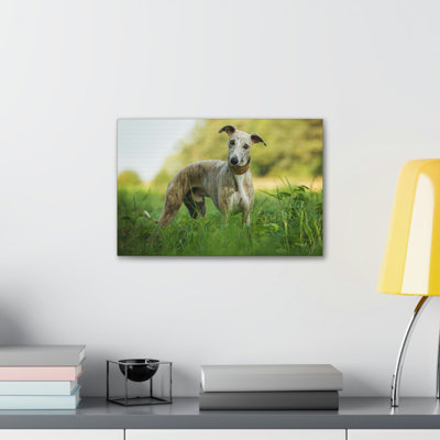 No Frame Print on Canvas