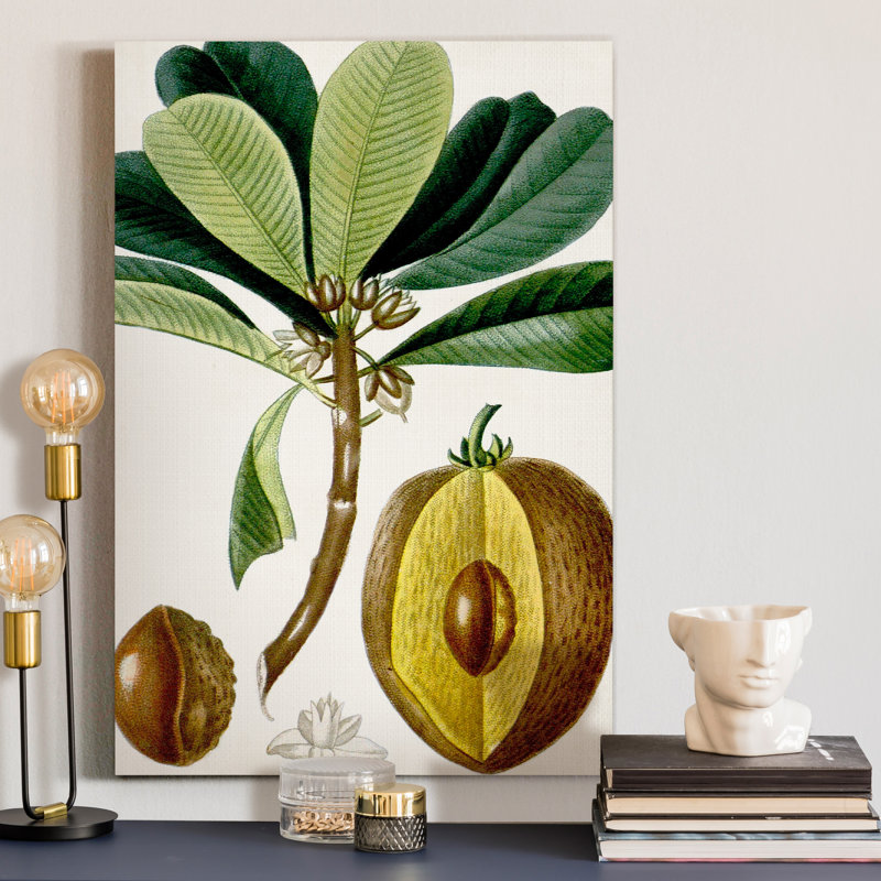 «Turpin Tropical Fruit VI», reproduction d'art sur toile tendue, H 36 po x l 24 po x P 1 po